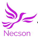 Necson Reviews